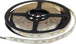Optonica Αδιάβροχη Ταινία LED Τροφοδοσίας 24V RGBW Μήκους 5m και 60 LED ανά Μέτρο Τύπου SMD5050