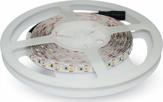 V-TAC Bandă LED 12V Alb Rece Lumină 5m Tip SMD3528