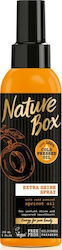 Nature Box Apricot Oil 150ml