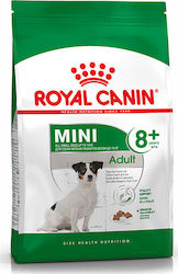 Royal Canin Mini Adult 8+ 8kg Trockenfutter für erwachsene Hunde kleiner Rassen mit Mais, Geflügel und Reis