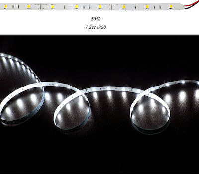 Adeleq Bandă LED Alimentare 12V cu Lumină Alb Rece Lungime 5m și 30 LED-uri pe Metru SMD5050
