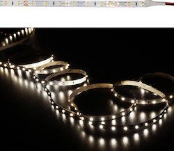 Adeleq Ταινία LED 12V 5m Adeleq Ταινία LED 12V 5m