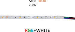 Adeleq LED Streifen Versorgung 12V RGBW Länge 5m und 36 LED pro Meter SMD5050