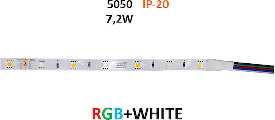 Adeleq Ταινία LED 12V RGBW Φως 5m Τύπου SMD5050