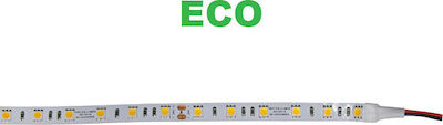 Adeleq Bandă LED Alimentare 24V cu Lumină Verde Lungime 5m și 60 LED-uri pe Metru SMD5050