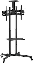 Reflecta TV Stand 70VCE-Shelf 23218 Floor TV Mount Up To 70" Reflecta TV Stand 70VCE-Shelf 23218 Floor TV Mount Up To 70"