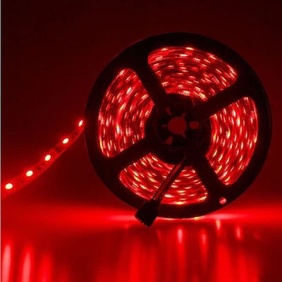 Adeleq LED Strip Power Supply 12V with Red Light Length 5m and 30 LEDs per Meter SMD5050