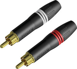 Procab PCR2M Βύσμα RCA 2τμχ Procab PCR2M Βύσμα RCA 2τμχ