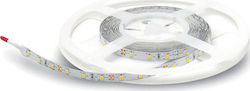 Geyer Ταινία LED 12V Θερμό Λευκό 5m