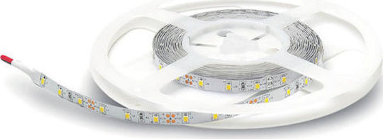 Geyer Ταινία LED 12V Θερμό Λευκό Φως 5m Τύπου SMD5050
