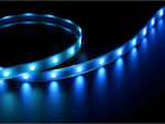 Lucas LED Strip Power Supply 12V with Blue Light Length 5m and 60 LEDs per Meter SMD3528