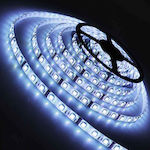 Lucas LED Strip Power Supply 12V with Cold White Light Length 5m and 60 LEDs per Meter SMD5050