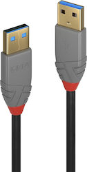 Lindy 36754 USB 3.0 USB-A Male to USB-A Male 5m Lindy 36754 USB 3.0 USB-A Male to USB-A Male 5m