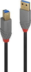 Lindy 36740 USB 3.0 USB-B male σε USB-A male 0.5m