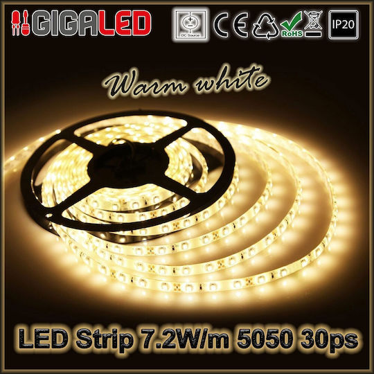 Atman Ταινία LED 12V Θερμό Λευκό Φως 1m Τύπου SMD5050