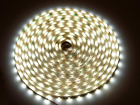 Vivalux LED Strip 12V Natural White Light 5m Type SMD2835