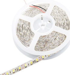 Optonica Bandă LED Alimentare 12V cu Lumină Alb Rece Lungime 5m și 30 LED-uri pe Metru SMD5050