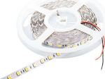 Cubalux Bandă LED Alimentare 12V cu Lumină Alb Cald Lungime 5m și 30 LED-uri pe Metru SMD2835