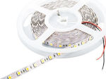 Cubalux LED Strip Power Supply 12V with Warm White Light Length 5m and 30 LEDs per Meter SMD2835