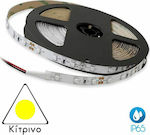 Cubalux Waterproof LED Strip Power Supply 12V with Yellow Light Length 5m and 60 LEDs per Meter SMD5050