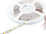 Cubalux LED Streifen Versorgung 24V mit Warmes Weiß Licht Länge 5m und 96 LED pro Meter SMD2835