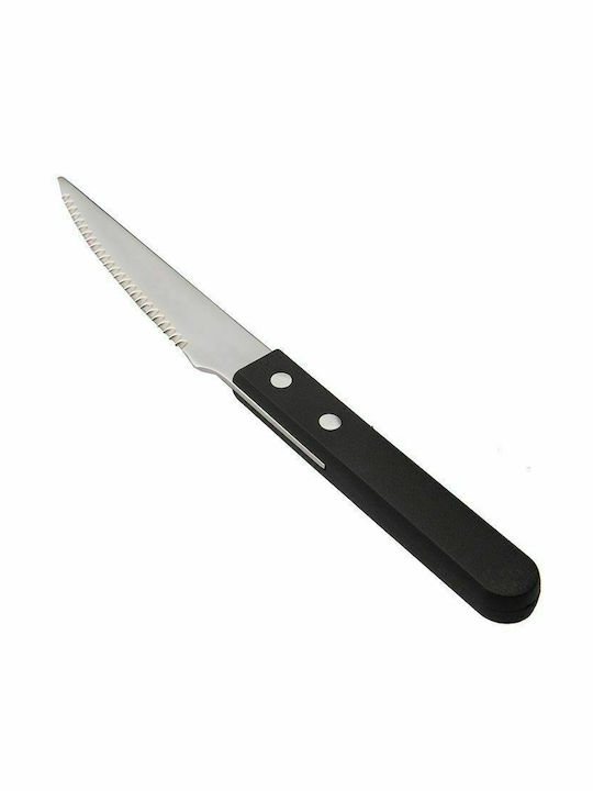 Dinox Brazil Food Knife of Stainless Steel 20.5cm