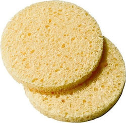 Peggy Sage Make Up Sponge for Foundation Cellulose Sponge