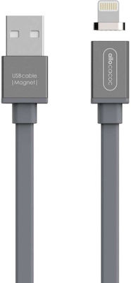Allocacoc Flach USB-A zu Lightning Kabel Gray 1.5m (10764GY/LGHTMG)