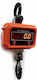 HY-1000 Electronic Professional Hanging Scale with Weighing Capacity of 1000kg and Division 500gr
