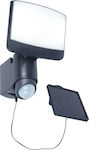 Lutec Sunshine Waterproof LED Floodlight 7.5W Cold White 5000K with Motion Sensor IP44