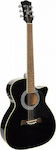 Richwood Semi-Acoustic Guitar RA 12CE Cutaway Black