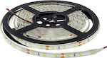 Optonica Rezistentă la apă Bandă LED Alimentare 12V cu Lumină Verde Lungime 5m și 60 LED-uri pe Metru SMD2835
