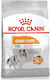 Royal Canin Coat Care Mini 3kg Hrană Uscată fără Gluten pentru Câini Adulţi de Rase Mici cu Păsări de curte, Orez, Porumb, Grâu și Ton