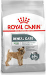 Royal Canin Dental Care Mini 3kg Trockenfutter für erwachsene Hunde kleiner Rassen