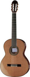 Amalio Burguet 2M Cedar Classical Guitar 4/4 Natural