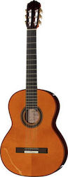Amalio Burguet FNEGRA DV Spuce Flamenco Classical Guitar 4/4 Natural