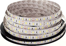 Optonica Ταινία LED 12V Φυσικό Λευκό 5m Optonica Ταινία LED 12V Φυσικό Λευκό 5m