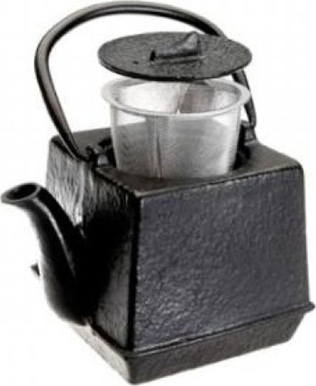 Teapot with Filter Cast Iron Black 800ml