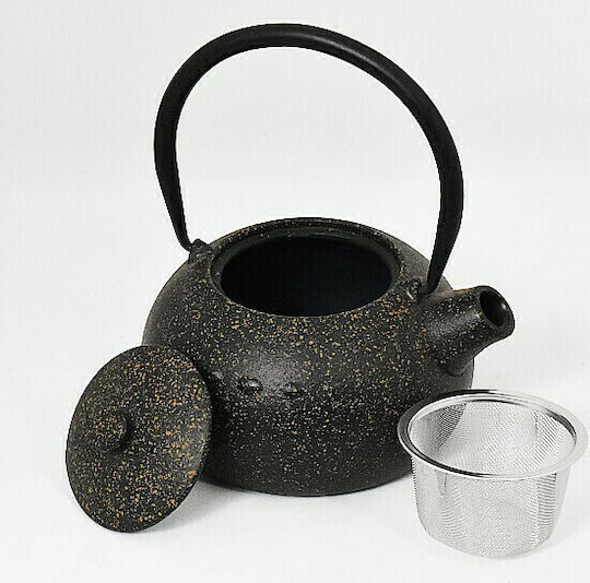 Patchy Teapot with Filter Cast Iron Hand Brown 850ml