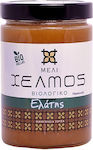 CHelmos Organic Honey Fir 450gr