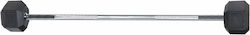 AMILA Straight Fixed Weight Bar 40kg