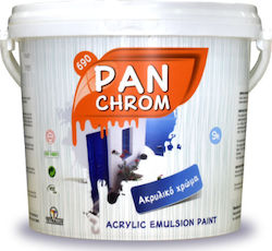 Tetralux Panchrom Plastic Acrilyc Paint for Exterior Use White 9lt