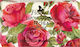 Florinda Vegetal Handmade Soap 100g