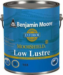 Benjamin Moore 103 Moorshield Πλαστικό Χρώμα Ακρυλικό για Εξωτερική Χρήση 5lt