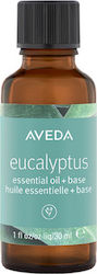 Aveda Essential Eucalyptus Essential Oil 30ml Aveda Essential Eucalyptus Essential Oil 30ml
