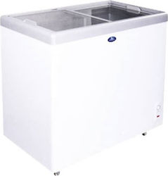 Sanden Intercool SNG-0605 Βούτα Κατάψυξης με 2 Συρόμενες Πόρτες