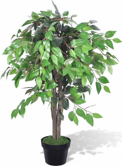 Ficus in Topfpflanze vidaXL