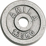 Amila Δίσκος Μεταλλικός 1 x 1.25kg Φ28mm