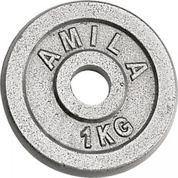 Amila Δίσκος Μεταλλικός 1 x 1kg Φ28mm