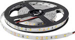 Optonica LED Strip Power Supply 12V with Warm White Light Length 5m and 60 LEDs per Meter SMD2835